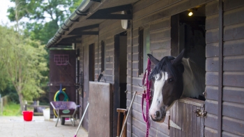 Equestrian Horse Stables LARGE Film Location Space Hire