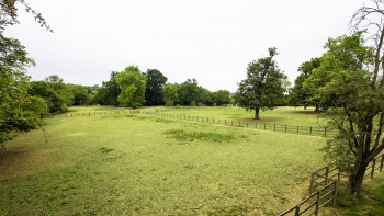 Equestrian Fields Large Grounds LARGE Film Location Space Hire
