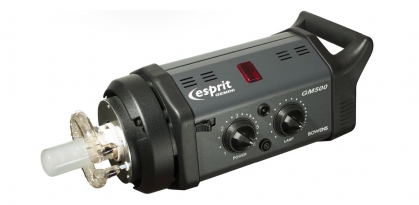 Bowens Esprit Gemini 500 Lights